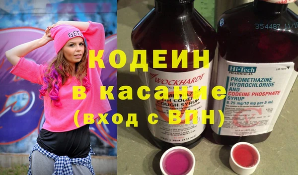 прущие грибы Абаза