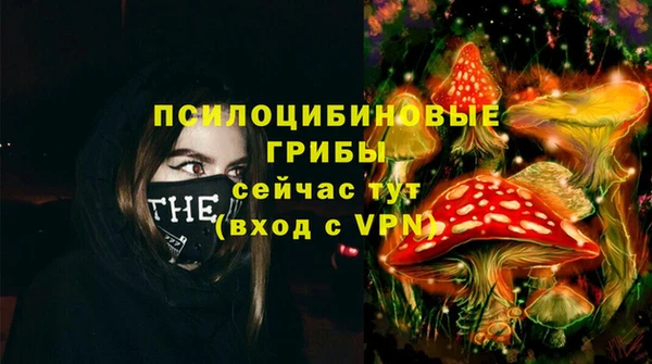 a pvp Алзамай