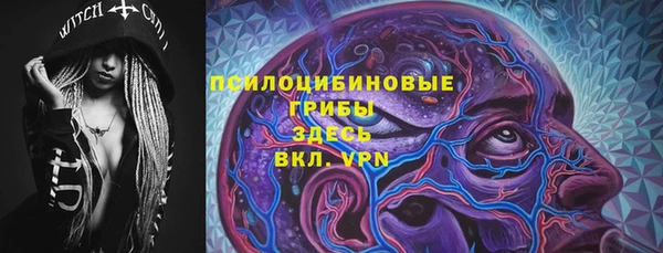 ГАЛЛЮЦИНОГЕННЫЕ ГРИБЫ Алексеевка