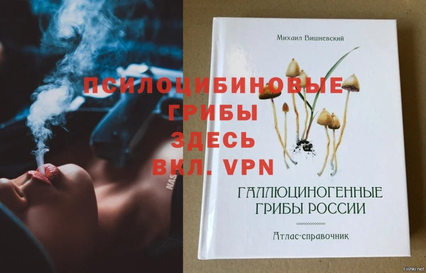 ГАЛЛЮЦИНОГЕННЫЕ ГРИБЫ Алексеевка