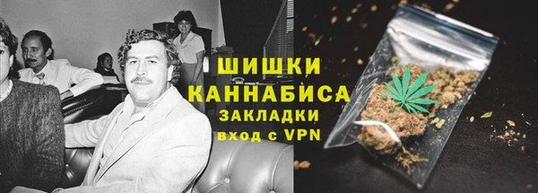 прущие грибы Абаза