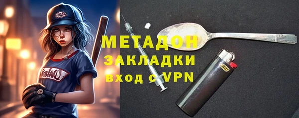 прущие грибы Абаза