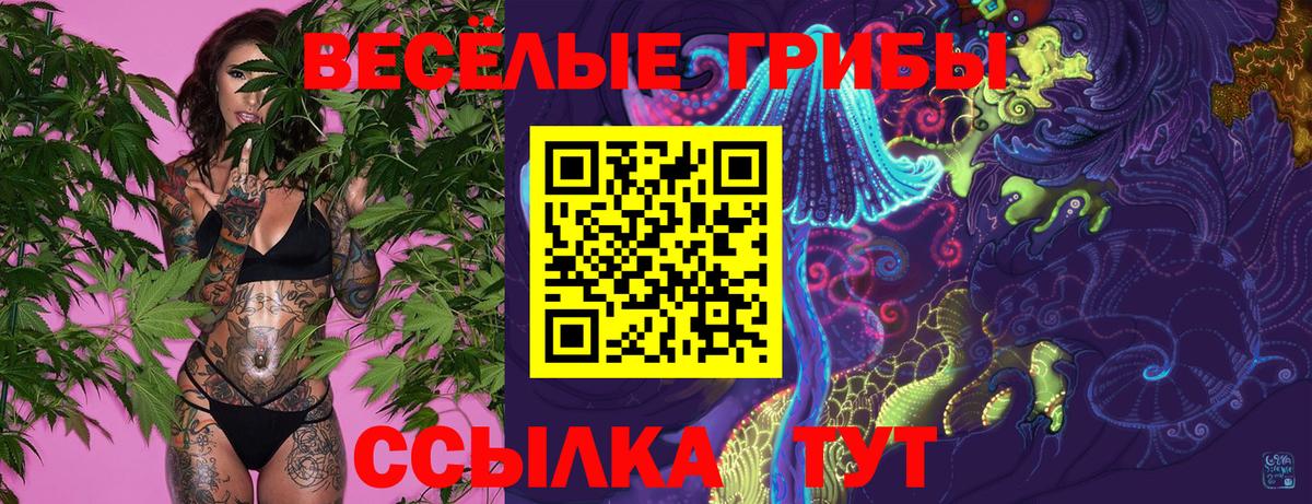 Кулебаки  Псилоцибиновые грибы MAGIC MUSHROOMS  Галлюциногенные грибы MAGIC MUSHROOMS  Вход с VPN 